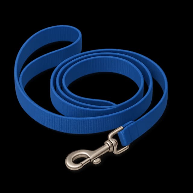 Arneses y correas para galgos