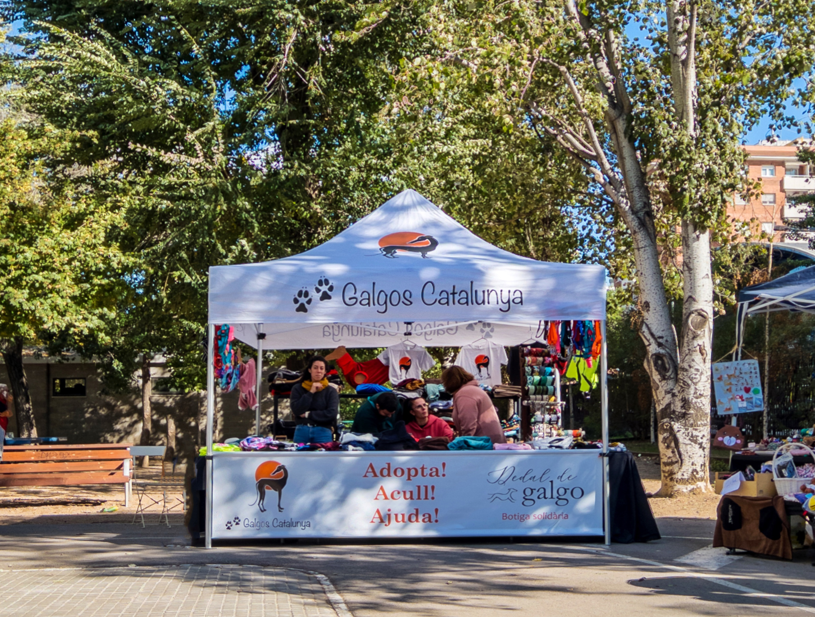 Voluntarios con galgos